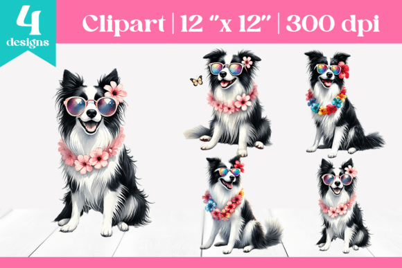 Download Cute Border Collie Sunglasses Clipart - Collie Collection
