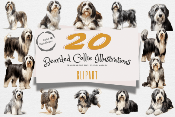 Download Bearded Collie Dog Art Clipart Pack - Collie Collection