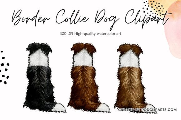 Download Border Collie Dog Clipart Dog Watercolor - Collie Collection