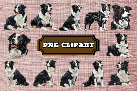 Download Border Collie Dog Clipart Bundle - Collie Collection