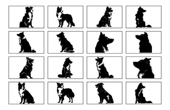 Download Border Collie Dog Silhouette Vector Set - Collie Collection