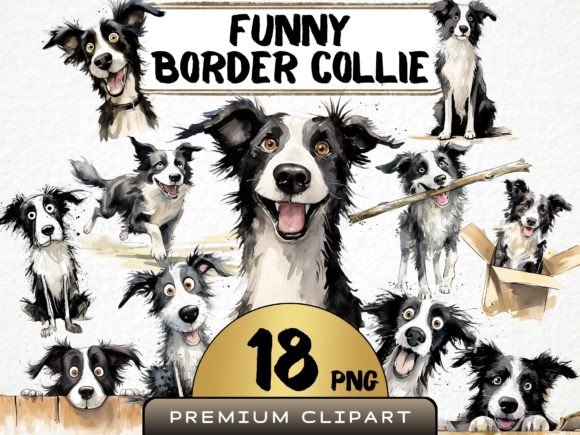 Download Funny Border Collie Clipart Bundle PNG - Collie Collection