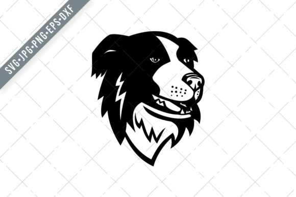 Download Head of Border Collie Scottish Sheepdog - Collie Collection