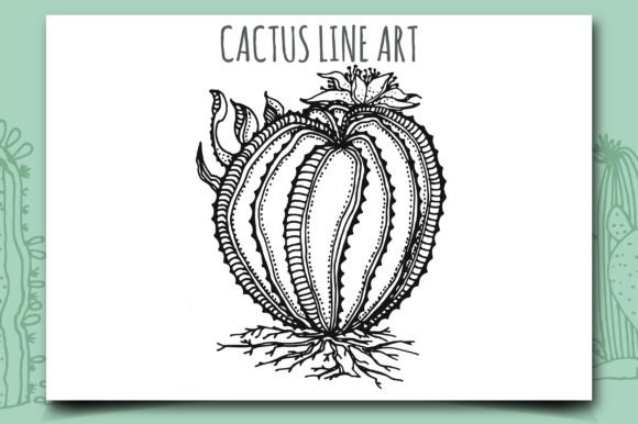 Download Cactus Line Art-142 - Premium Resources