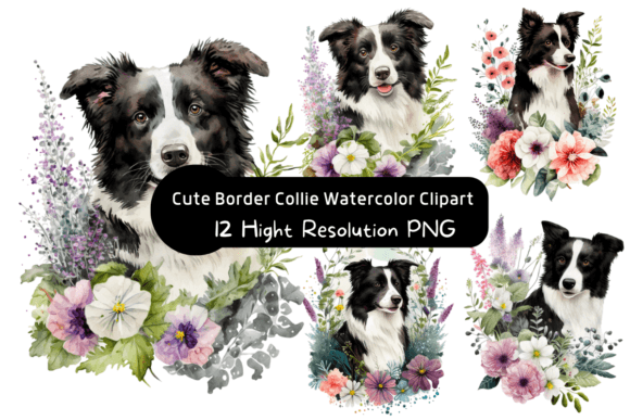Download Cute Border Collie Watercolor Clipart - Collie Collection